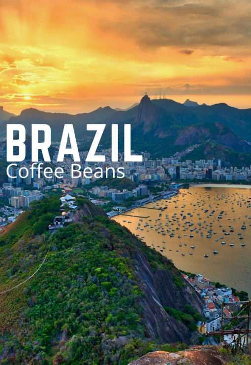 Bestselling Brazil Coffee Beans