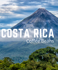 Bestselling Costa Rican Coffee Beans