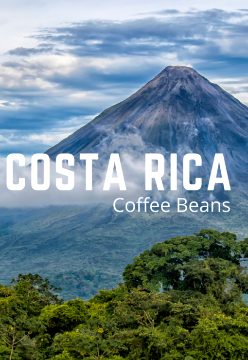Bestselling Costa Rican Coffee Beans