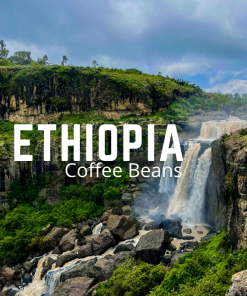 Bestselling Ethiopian Coffee Beans