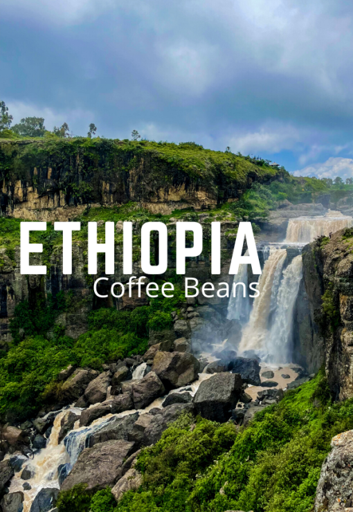 Bestselling Ethiopian Coffee Beans