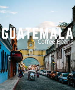 Bestselling Guatemala Coffee