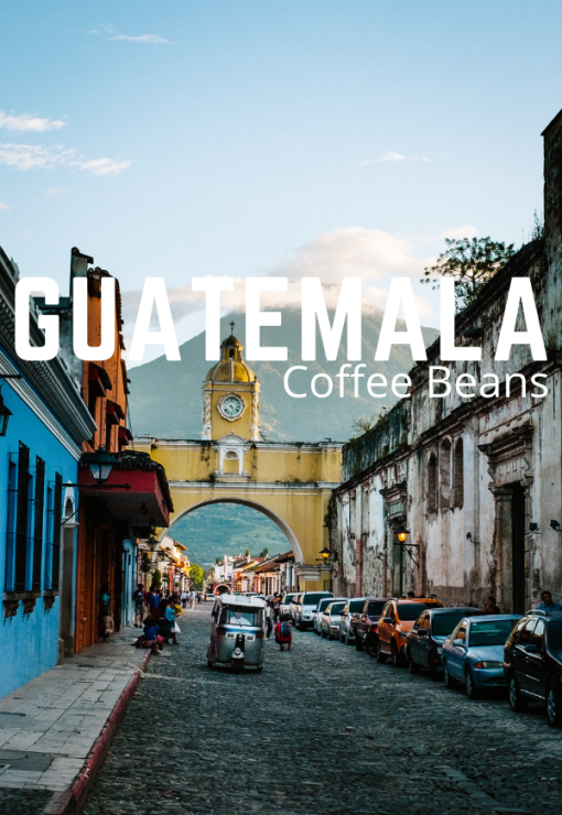 Bestselling Guatemala Coffee