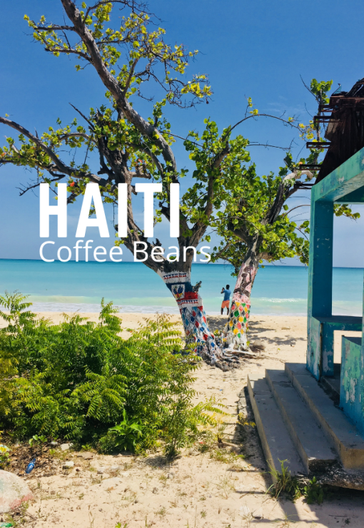 Bestselling Haiti Coffee Beans