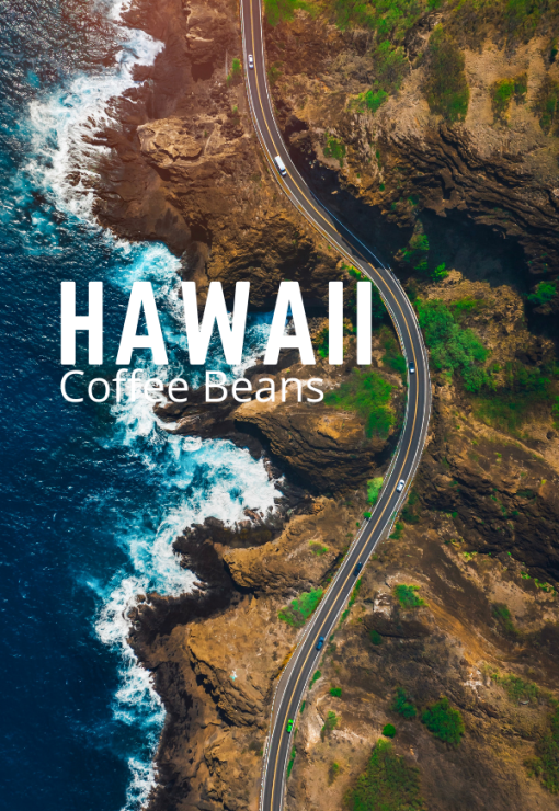 Premium Hawaii Coffee Beans