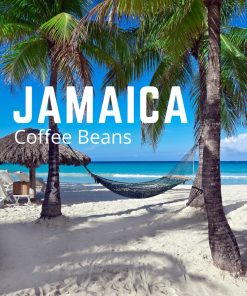 Bestselling Jamaica Coffee
