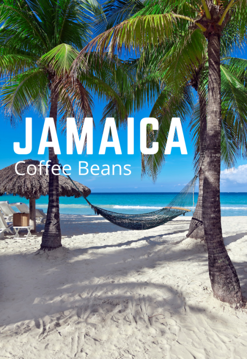 Bestselling Jamaica Coffee