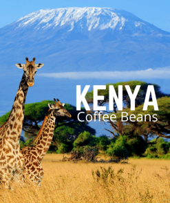 Bestselling Kenya Coffee Beans