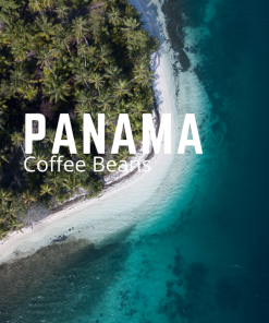 Bestselling Panama Coffee Beans