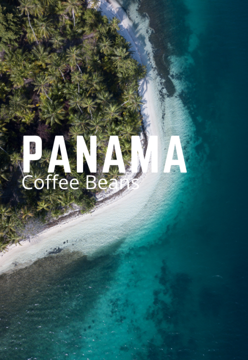 Bestselling Panama Coffee Beans
