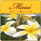 Maui Yellow Caturra Coffee Beans