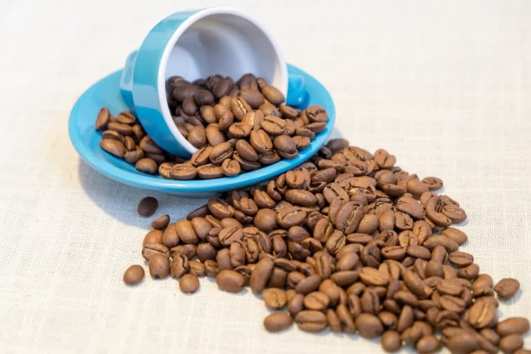 arabica coffee beans