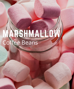 marshmallow coffee beans