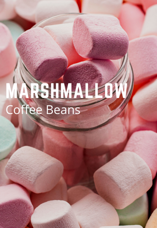 marshmallow coffee beans