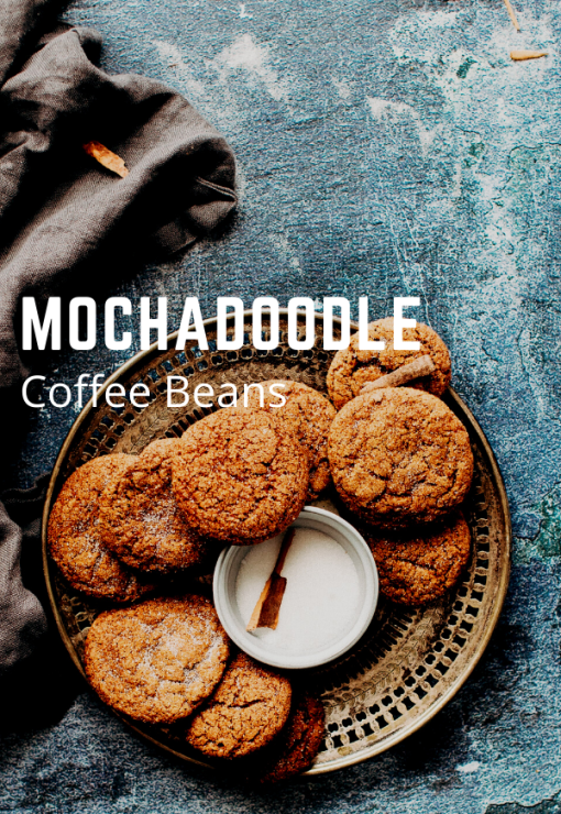 mochadoodle coffee beans