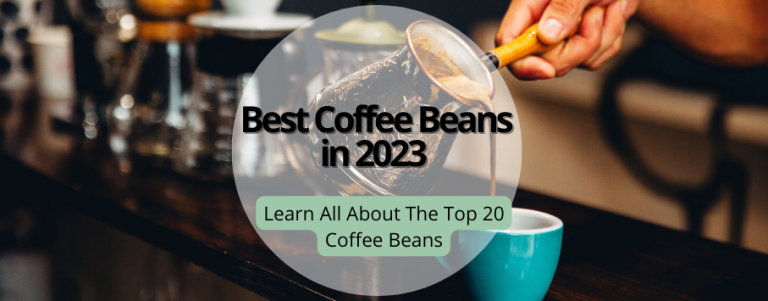 Best Coffee Beans in 2023