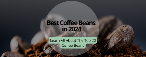 Best Coffee Beans in 2024