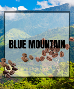 Gift Set - Jamaican Blue Mountain Coffee