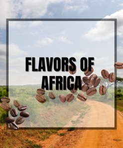 Flavors of Africa Coffee Sampler