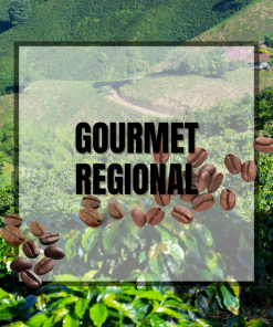 Gourmet Regional Coffee Sampler Gift