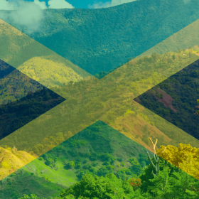 The Jamaican flag is overlaid on a scenic view of lush, green mountains and trees, known for producing world-famous Jamaican Coffee Beans, under a partly cloudy sky.