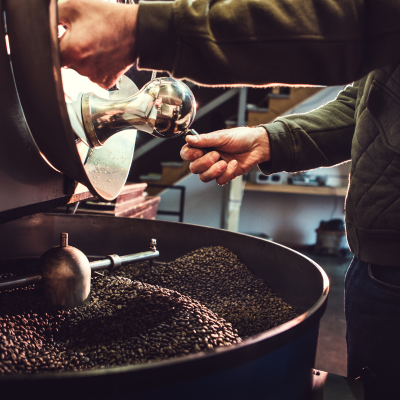 Person operating a coffee roasting machine, with aromatic Jamaican Coffee Beans visible inside the drum.